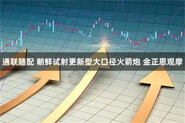 通联随配 朝鲜试射更新型大口径火箭炮 金正恩观摩